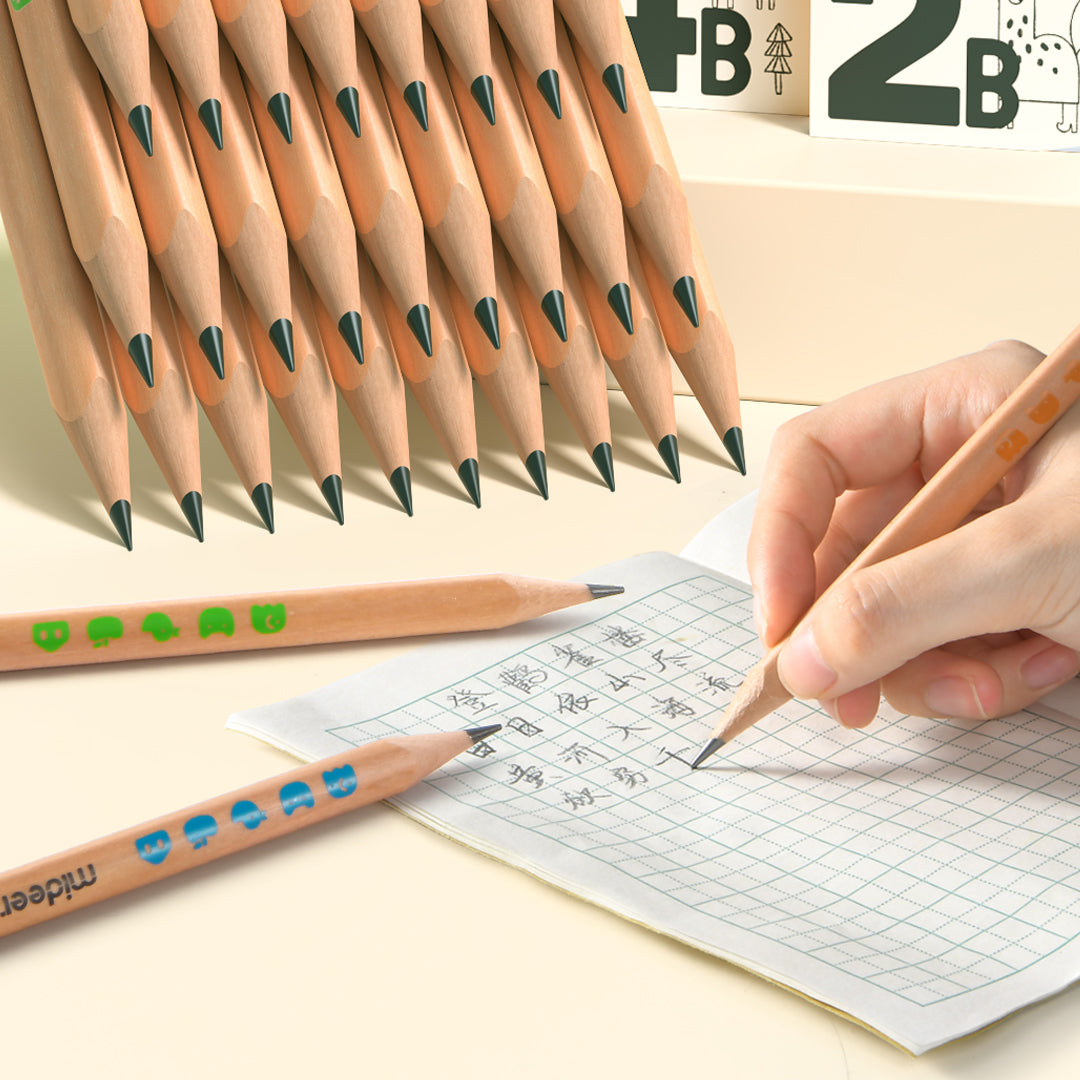 Thick Triangular Pencils 4B 6P