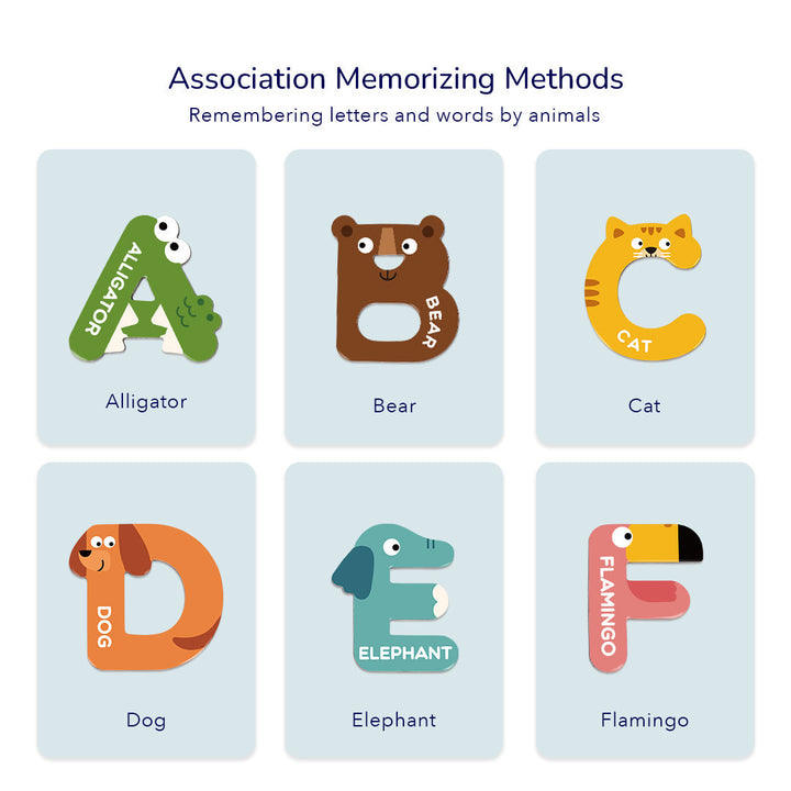 Uppercase &amp;  Lowercase Letter Magnets 52P