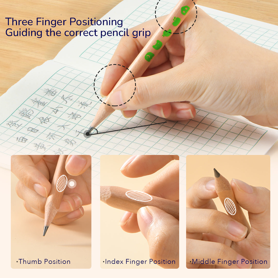 Thick Triangular Pencils 6B 6P