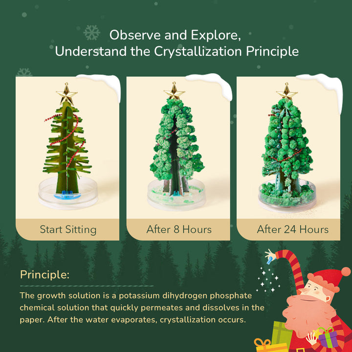 Christmas Gift Set