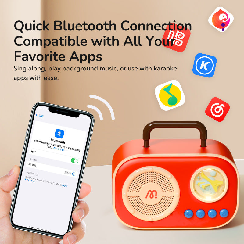 family duet karaoke set