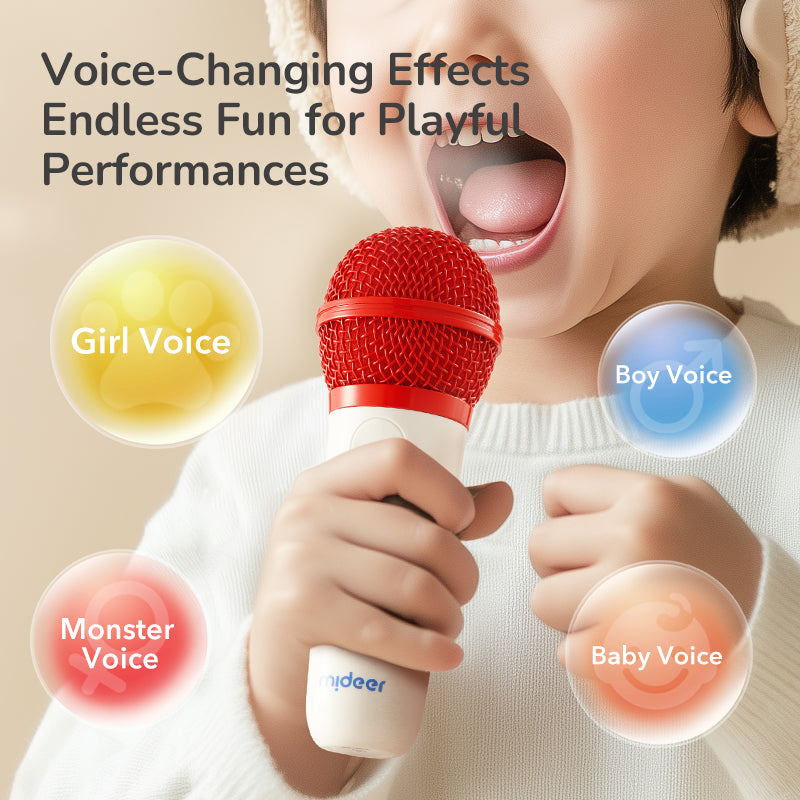 family duet karaoke set