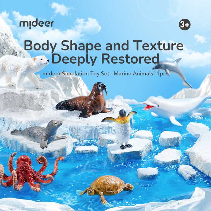 mideer Simulation Toy Set Marine Animals-11pcs
