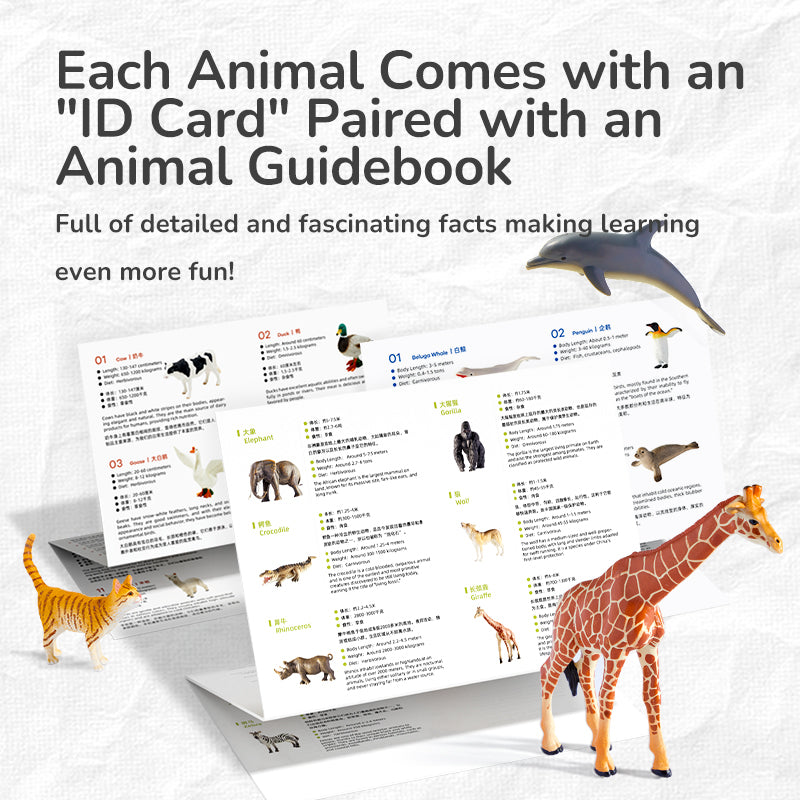 mideer farm animals