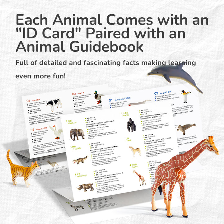 mideer farm animals